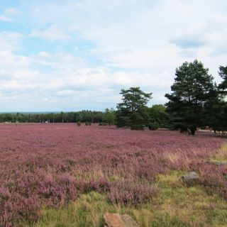 Hotel Heidetraum in Schneverdingen in der Lüneburger Heide