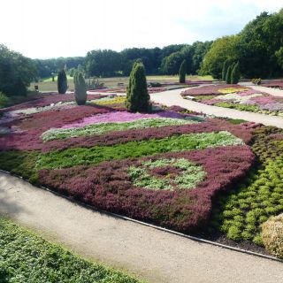 Hotel Heidetraum in Schneverdingen in der Lüneburger Heide