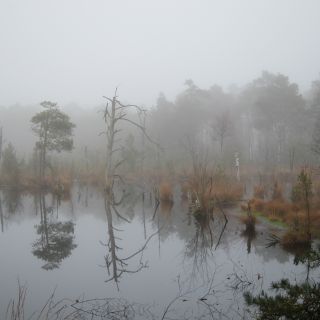 Hotel Heidetraum in Schneverdingen in der Lüneburger Heide