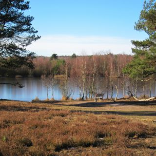 Hotel Heidetraum in Schneverdingen in der Lüneburger Heide