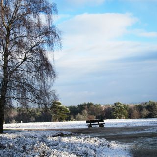 Hotel Heidetraum in Schneverdingen in der Lüneburger Heide