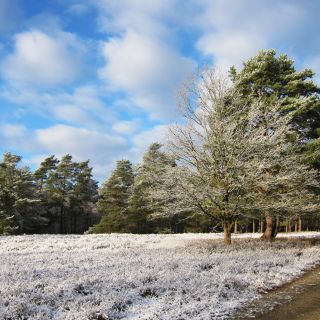 Hotel Heidetraum in Schneverdingen in der Lüneburger Heide